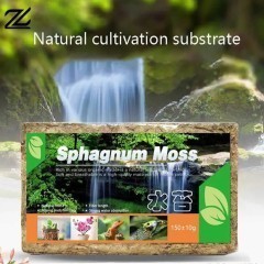 Ukorzeniacz Mech Torfowiec Sphagnum Moss 150g 12L Kwiaty Storczyk Gad