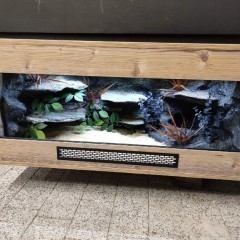 Terrarium pyton wąż boa PETMARKET