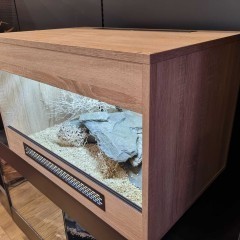 Terrarium 80x50x50 dla jaszczurki gekona żółwia