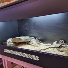 Terrarium 100x50x50 dla jaszczurki węża gekona