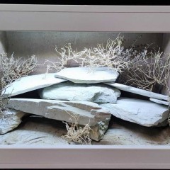 Terrarium dla gekona 80x55x48