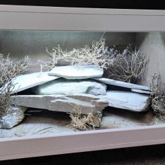 Terrarium dla gekona 80x55x48