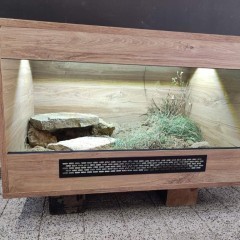 Terrarium dla żółwia