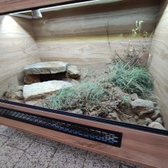 Terrarium dla żółwia