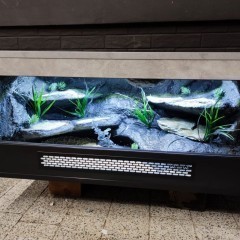 Terrarium gekon lamparci jaszczurka PETMARKET