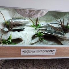 Terrarium z płyty meblowej gekon jaszczurka KOŚCIAN