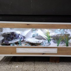 Terrarium wąż pyton boa PETMARKET