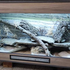 Terrarium dla agamy 120x50x70