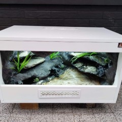 Terrarium gekon lamparci jaszczurka PETMARKET