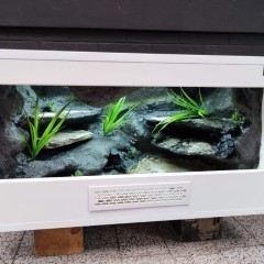 Terrarium gekon lamparci jaszczurka PETMARKET