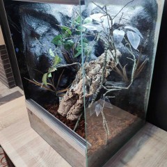 Terrarium 40x40x60 dla gekona orzęsionego Petmarket