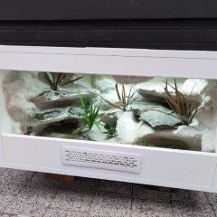 Terrarium z płyty meblowej gekon jaszczurka KOŚCIAN