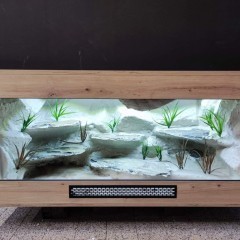 Terrarium agama legwan jaszczurka PETMARKET