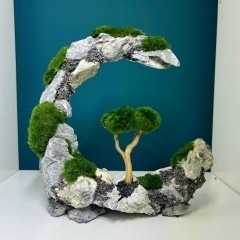 Piękna Aranżacja Do Akwarium Księżyc Bonsai