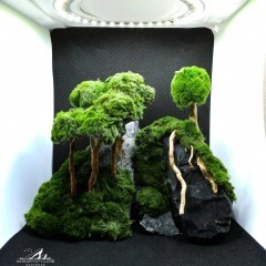 Gotowa Aranżacja do Akwarium - Drzewko Bonsai - NA ZAMÓWIENIE