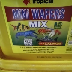 Pokarm dla ryb Tropical Mini  Wafers MIX 50g