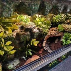 Terrarium 60x30x30 tropikalne dla gekon