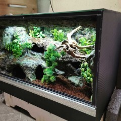 Terrarium tropikalne dla gekon 60x40x40