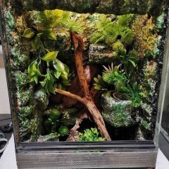 Terrarium 30x30x50 - dla gekona z wyposażeniem