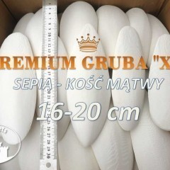 Sepia Kość mątwy PREMIUM XL Ślimaki Żółwie Papugi