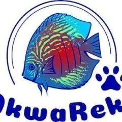 Fluval U3 Filtr wewnętrzny do akwarium 90-150l, Sklep AKWAREKS