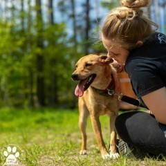 Śliczna i łagodna NADIA szuka domu!