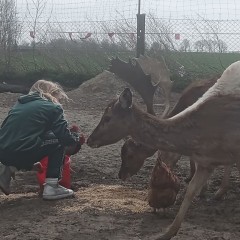 Łopatacz albinos z dowozem