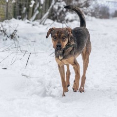 BARTUŚ - umiera ze strachu !