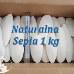 Sepia Gruba 1 kg na wagę Kość Mątwy Ślimaki Papugi