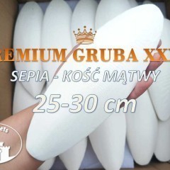 Sepia Kość mątwy PREMIUM XXXL Achatina Papugi