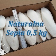 Sepia Gruba 0.5 kg na wagę Mątwy Ślimaki Papugi