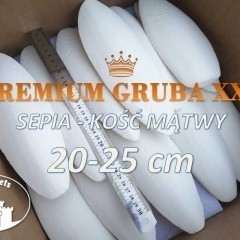 Sepia Kość mątwy PREMIUM XXL Lissachatina Papugi